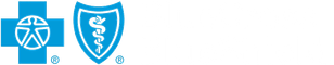 BlueCross BlueShield